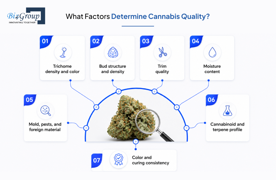 what-factors-determine-cannabis