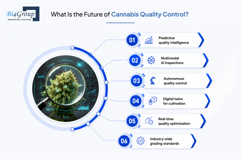 what-is-the-future-of-cannabis