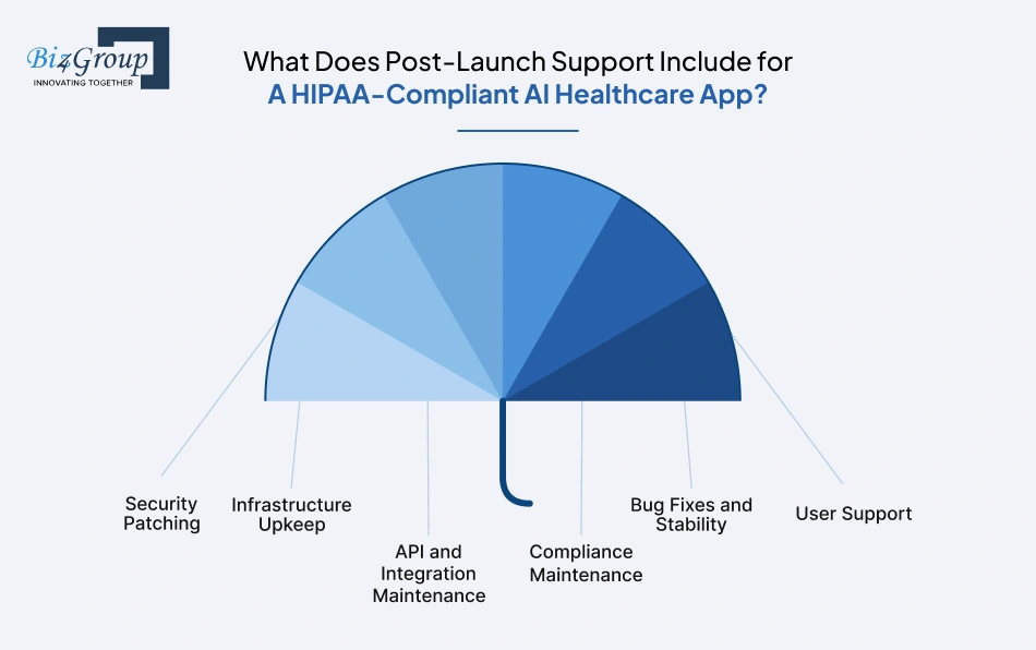what-does-post-launch