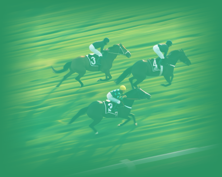AI Horse Racing Betting Calculator Software Development Process and Cost