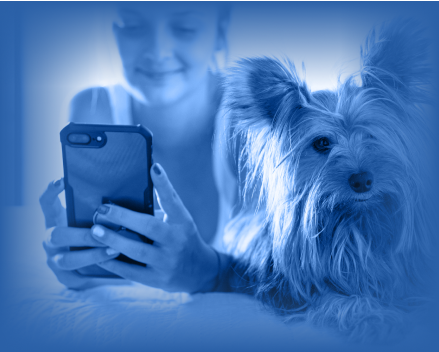 ai-pet-care-app-development