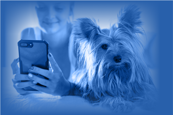 AI Pet Care App Development: Benefits, Features, Steps and Cost