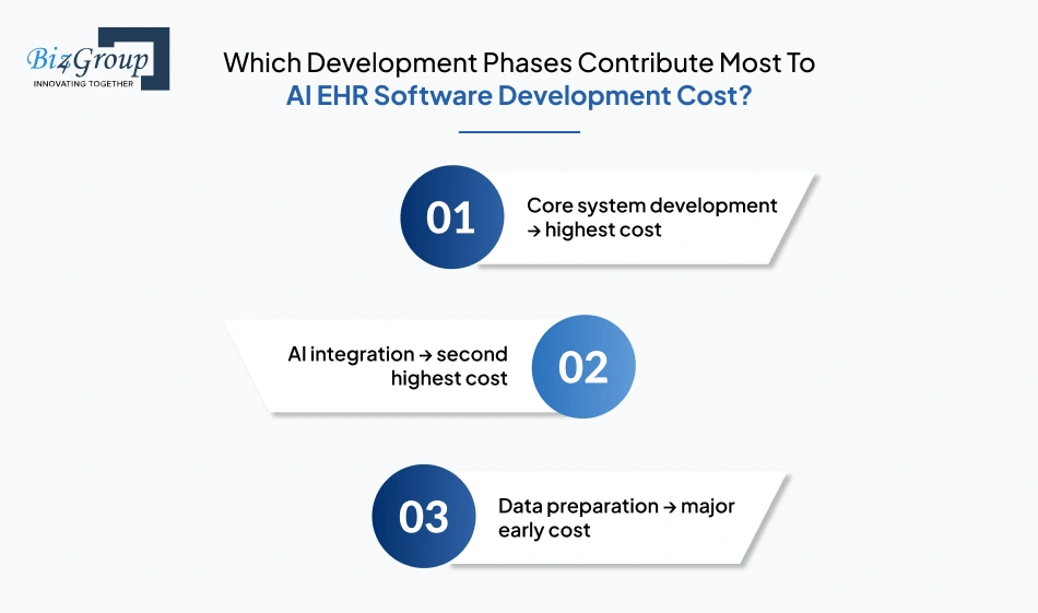 which-development-phases