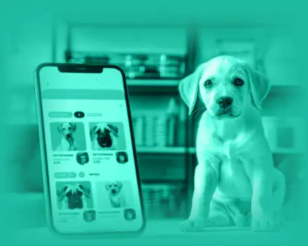 How to Develop a Pet Care App like Rover: An Experience Guide