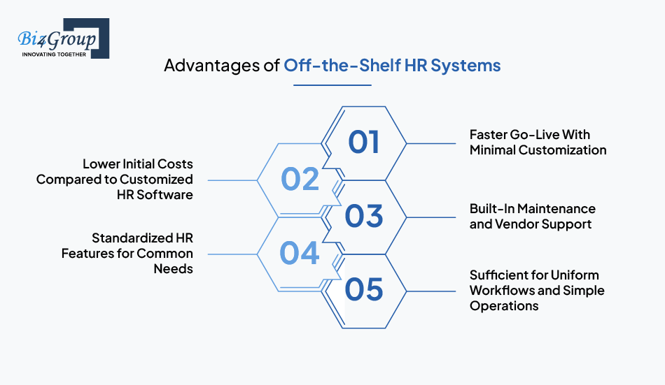 Advantages of Off-the-Shelf HR Systems