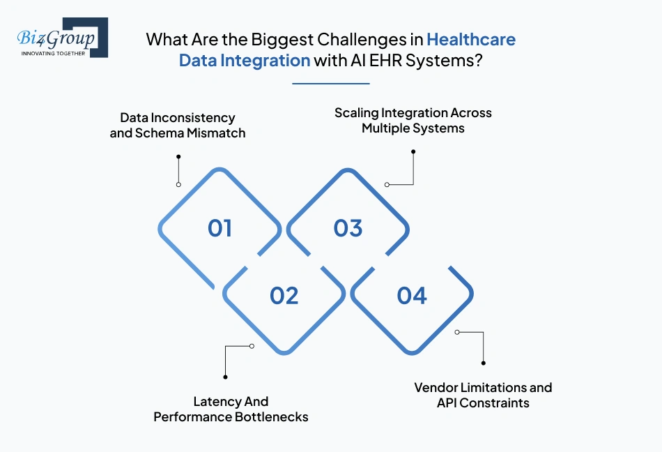 what-are-the-biggest