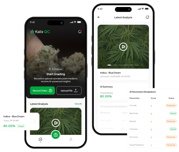 ai-powered-cannabis-grading-kalix-qc