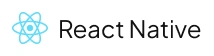 Mobile App Development icon