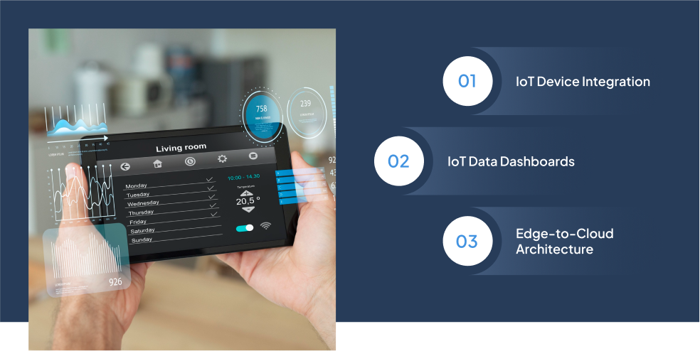 IoT Application Development