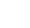 circle-icon
