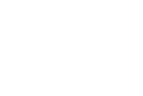 circle-icon